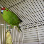 IMGP0096