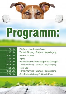 programm_2015